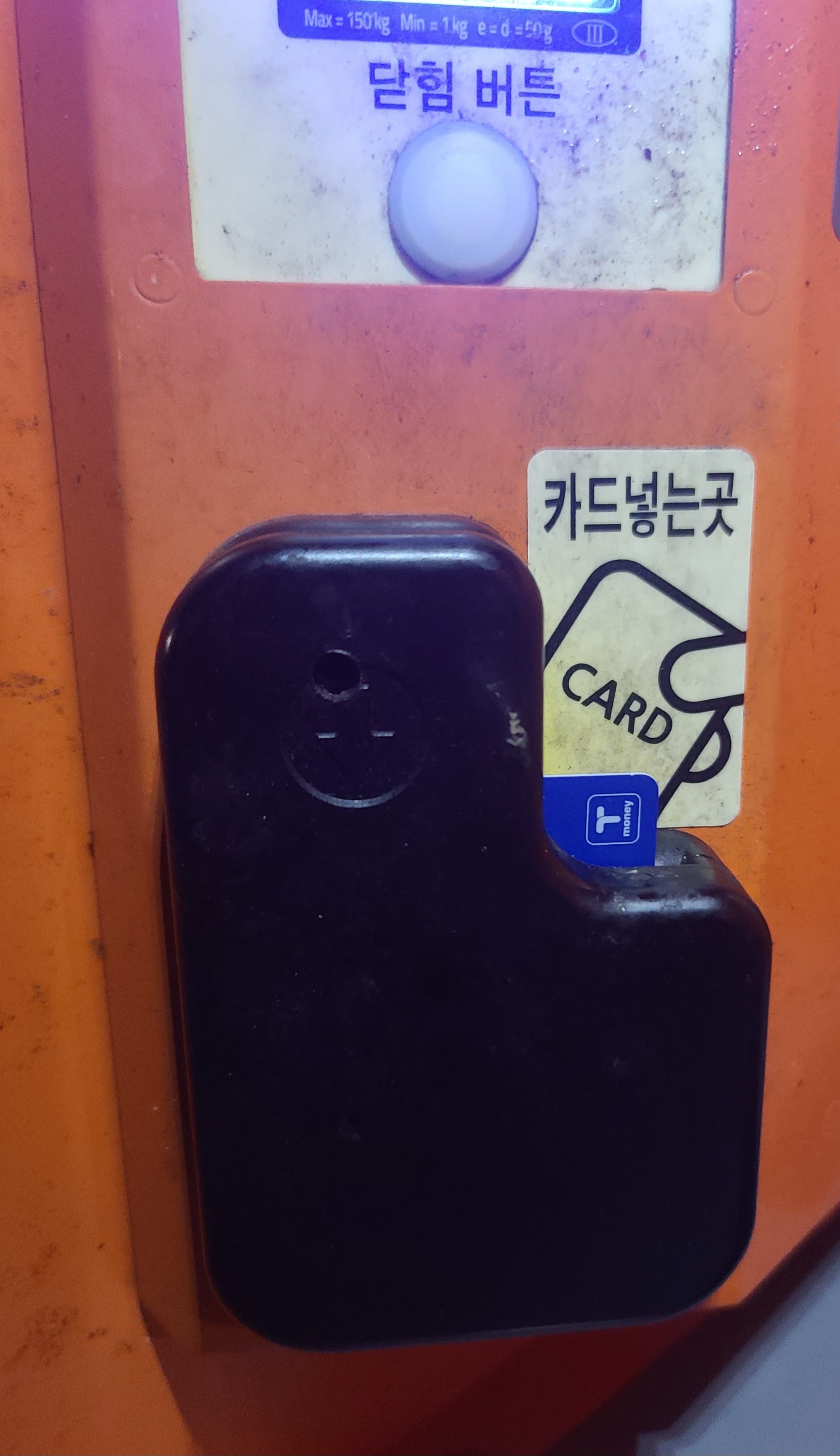 티머니-잔액조회-하는-방법-티머니-카드넣기