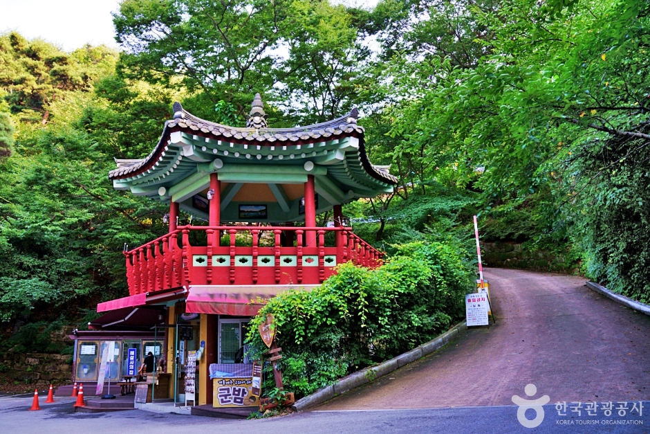 예천 가볼만한곳 베스트10