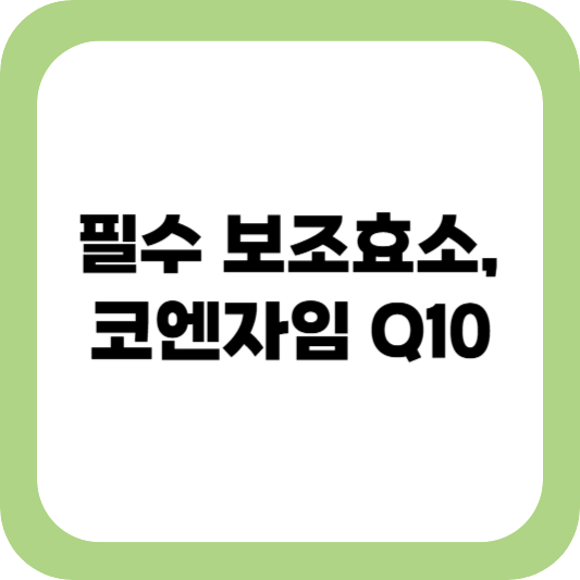 코엔자임 q10