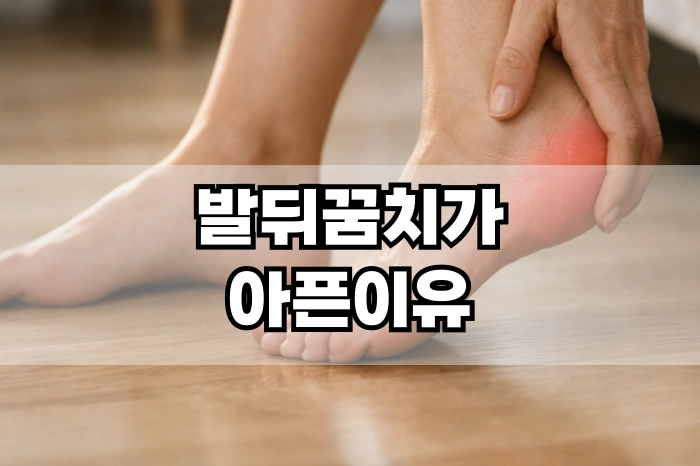 발뒤꿈치가 아픈이유
