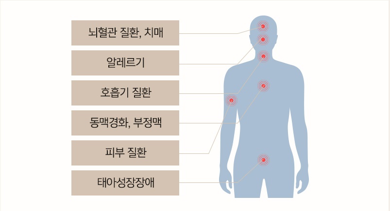 미세먼지가인체에미치는영향