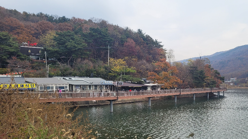 백운호수 주변 풍경 -산책 데이트 코스