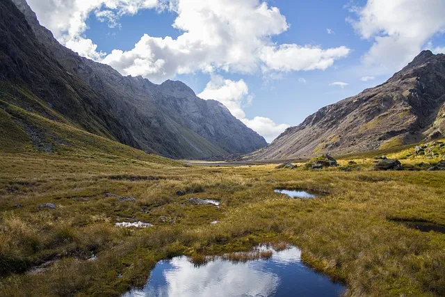 반야심경 260자 시대 초월한 지혜 정리_4
