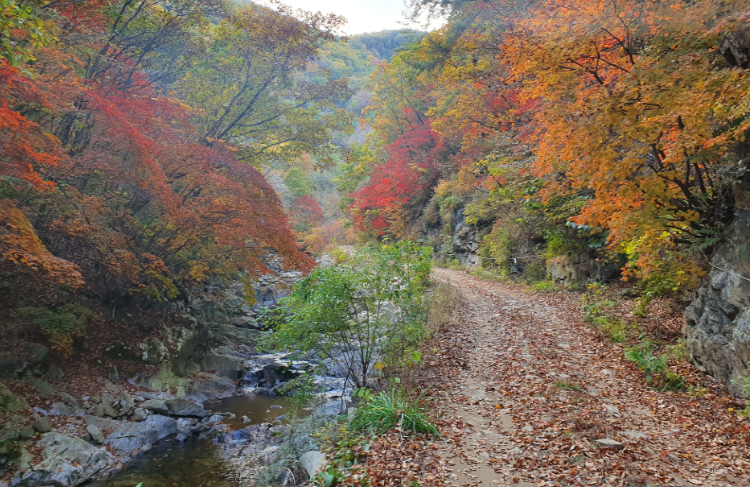 가평 가볼만한곳