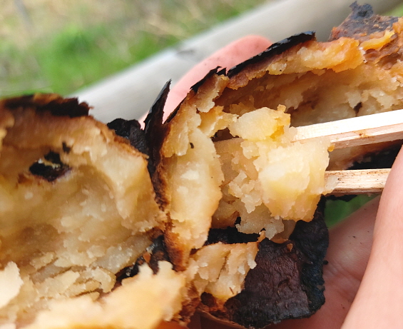 노란색 감자 속살