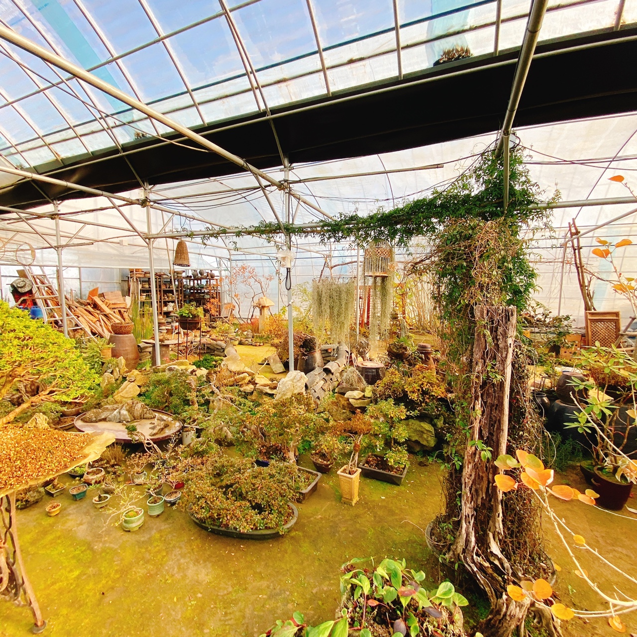 강화도 야생화 뜰 카페