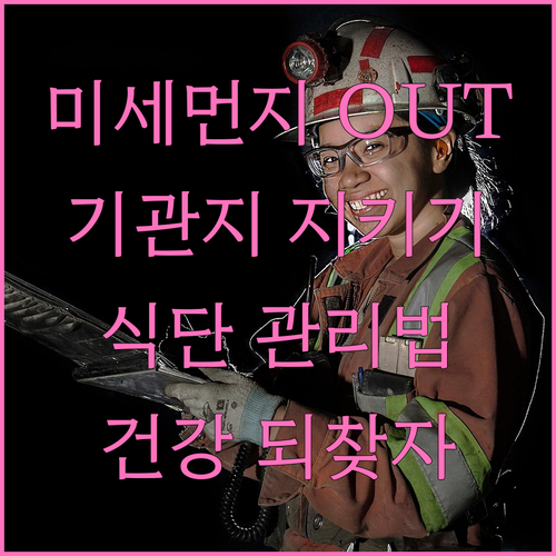 미세먼지 걱정 끝! 기관지 건강에 좋..