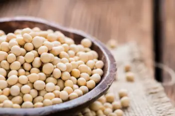 청국장 효능 및 영양성분&amp;#44; 주의점