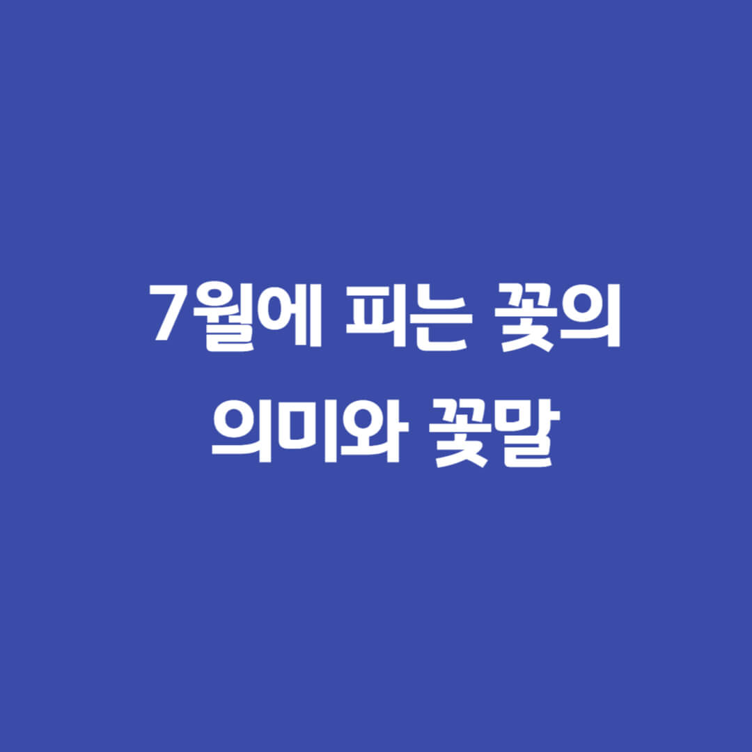 7월피는꽃-7월꽃말