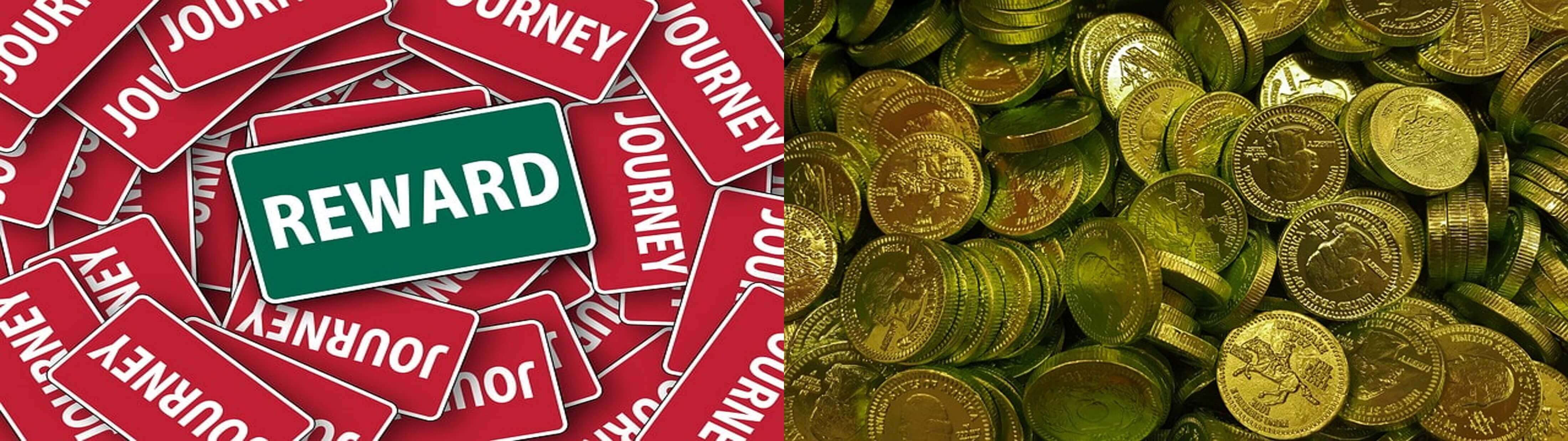 안전신문고-포상금-제도