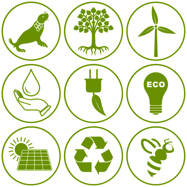 관광 산업 내 자원 순환 시스템 구축: 개념과 도전, 환경 효율성, 협력 방안