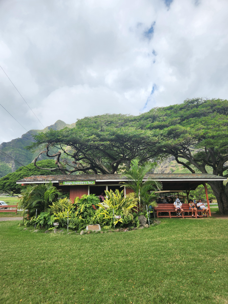 하와이 쿠알로아 랜치 익스피리언스 패키지 정글투어