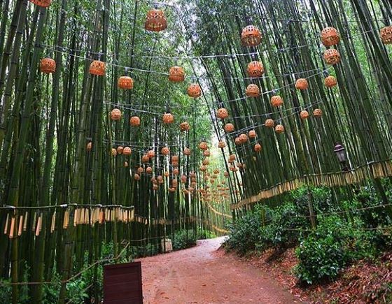 전라도 숨은 여름 여행지 TOP 7-한적한 계곡, 시골 감성 여행