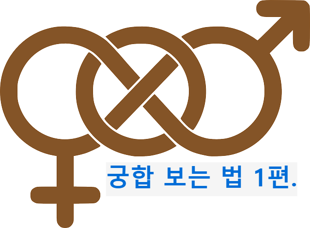 궁합