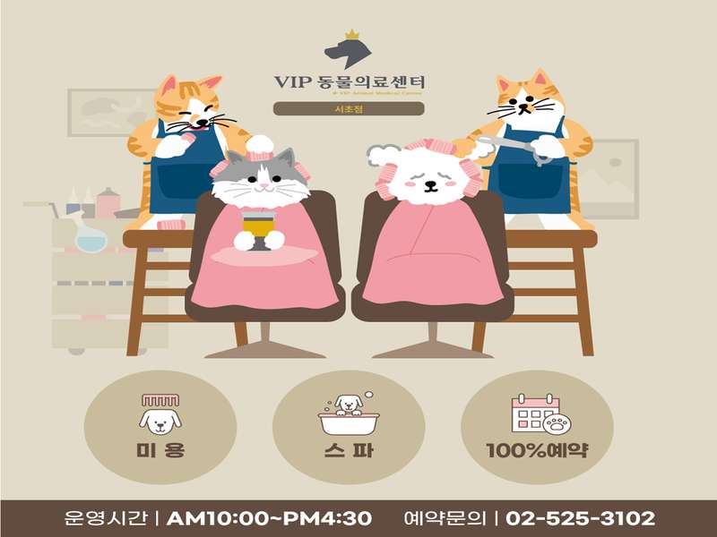 1.1 VIP동물의료센터의 운영 정보