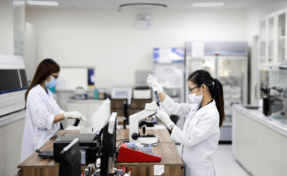 힘스앤호스 관련 이미지