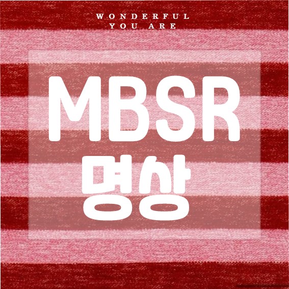 MBSR 명상 완벽 가이드: 마음챙김으로 스트레스 관리