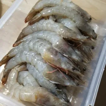 새우 요리 11가지 황금레시피_15