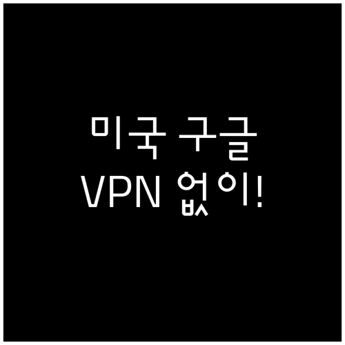 VPN 없이 미국 구글 검색 결과 확..