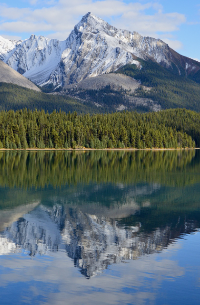 캐나다 신혼여행