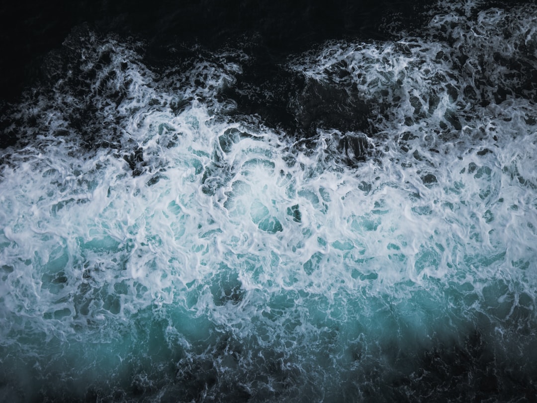 Tidal