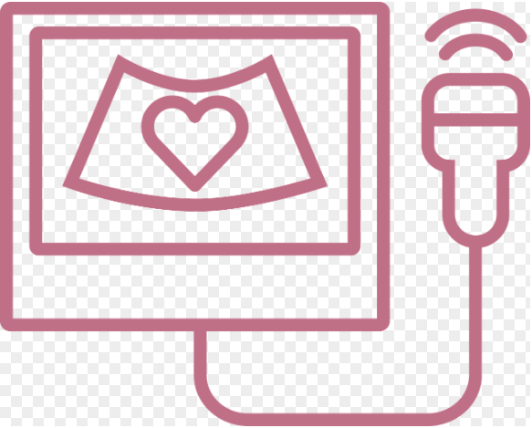 임신 중 병원 언제 가야 할까