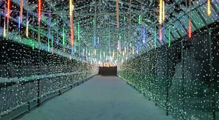 청양 알프스마을