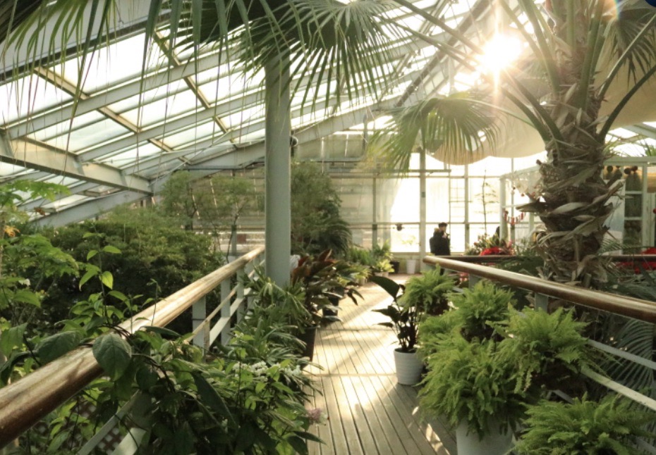 서울숲 곤충식물원