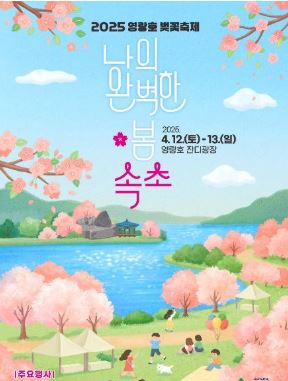 속초 벚꽃 