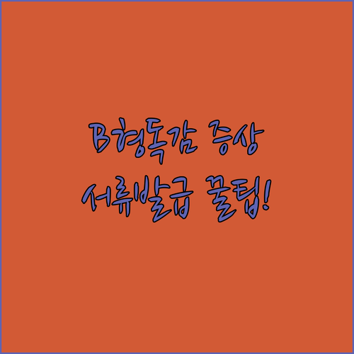 B형 독감 증상 특징 및 학교 제출용..