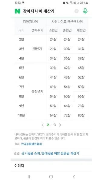 강아지 나이 환산법 가이드 실제 나이 확인 방법_15