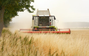 밀양시 기본형 공익직불금 신청자격과 지급일(농업보조금 대상)