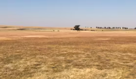 토지거래 허가제란 토지거래 허가제 해제