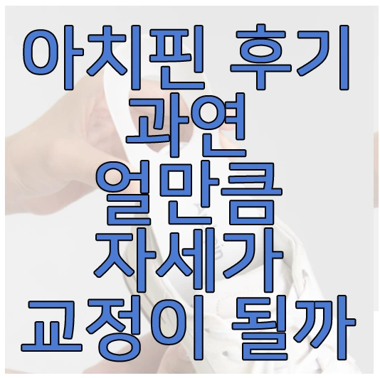 아치핀에 관한 글 보러 가기 링크 사진