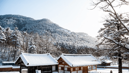 청와대 관람신청