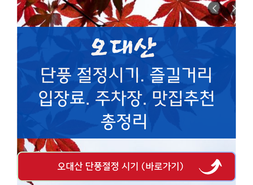 오대산 단풍 시기