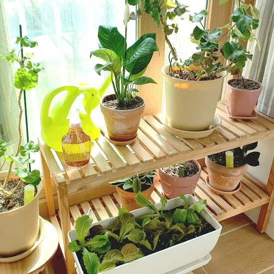 화분 받침 바퀴카트 이동편의 허리부담 줄이는 방법_4