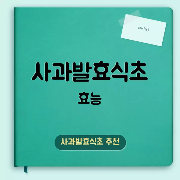 사과발효식초 효능