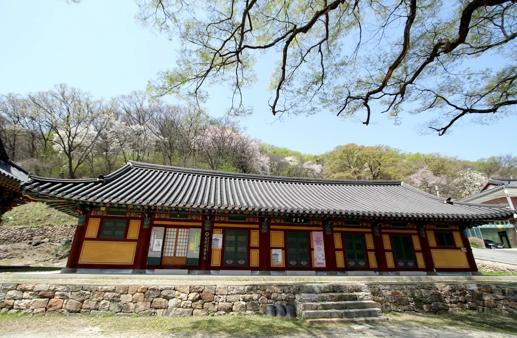 고즈넉한 분위기를 자아내는 고려산 동쪽 기슭의 청련사 전경.