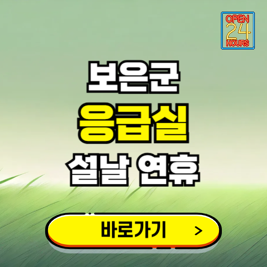 보은군 설날 연휴 비상진료 응급실 병원 찾기 ❘ 내근처 24시 야간 심야 휴일 가능한 곳