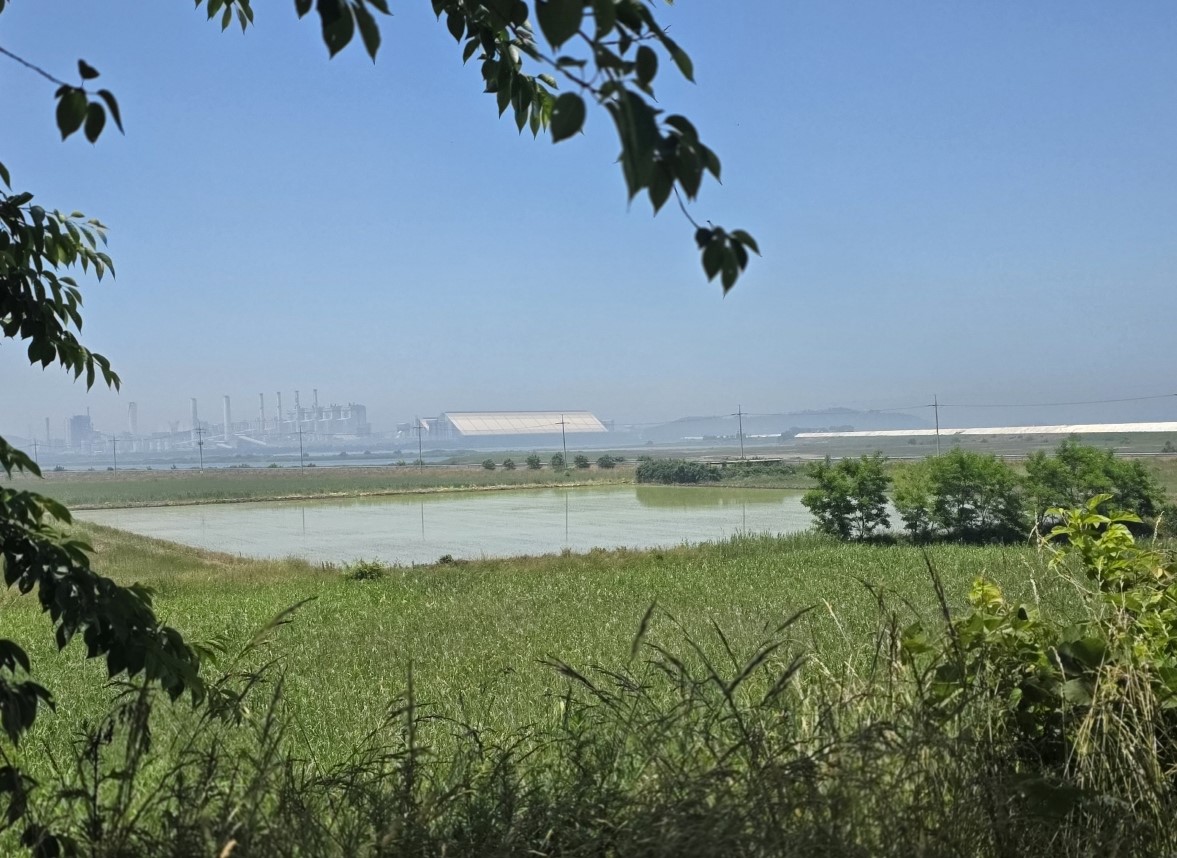 “꾸지나무골해변에서 학암포까지”