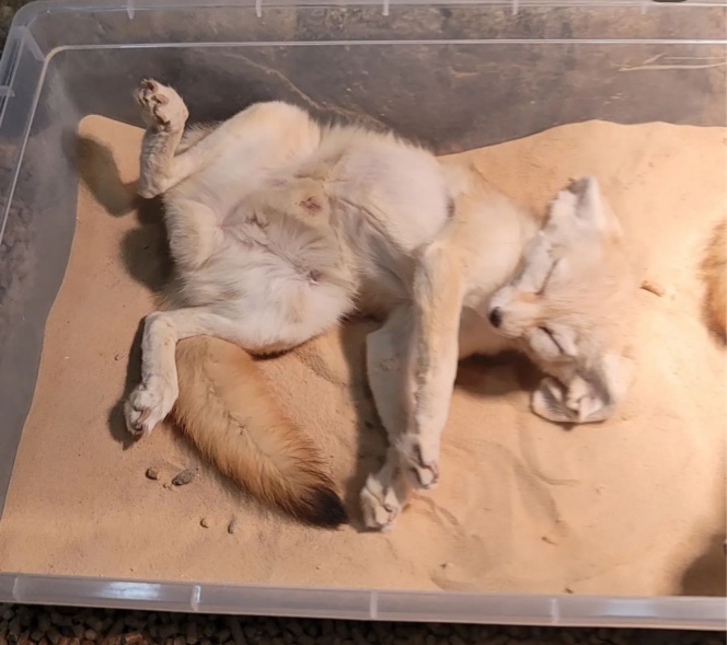 아이랑가기 좋은 곳 - 송도 인더쥬 