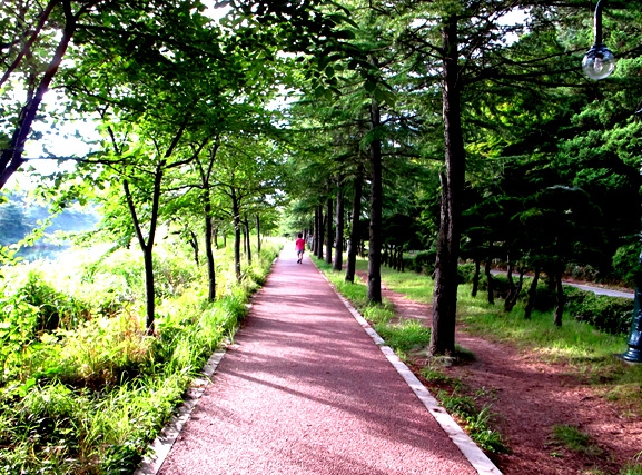 영랑호-숲속-둘레길