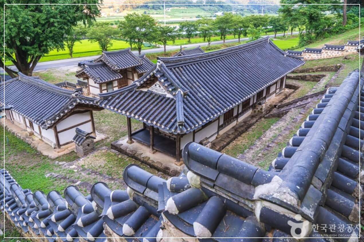 보은 가볼만한곳 베스트10 보은 풍림정사