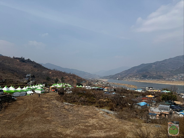 2025 광양매화축제 개화상황 주차장 실시간 입장료