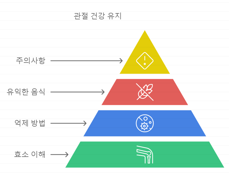 관절건강 유지