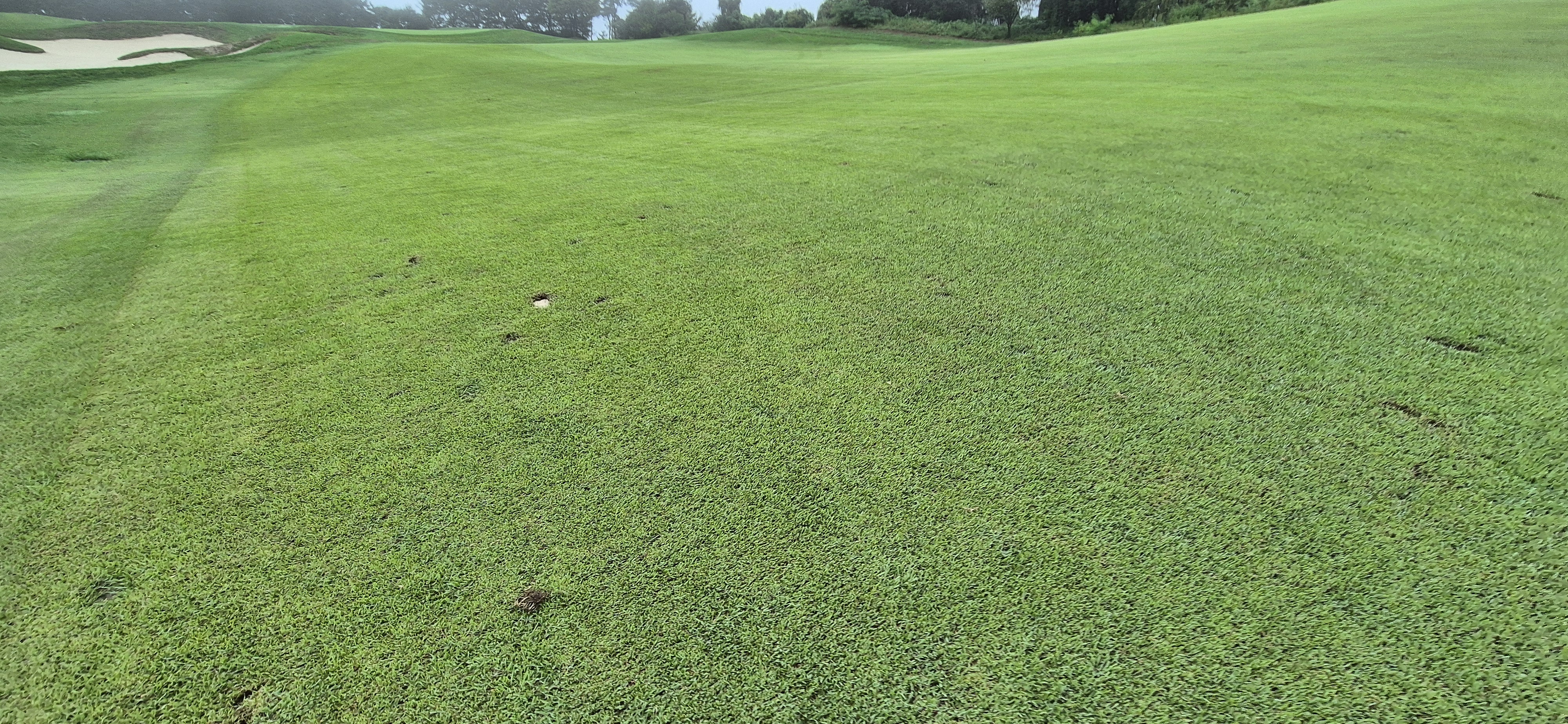 더플레이어스cc