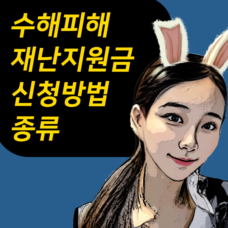 수해 피해 재난지원금 신청방법 종류