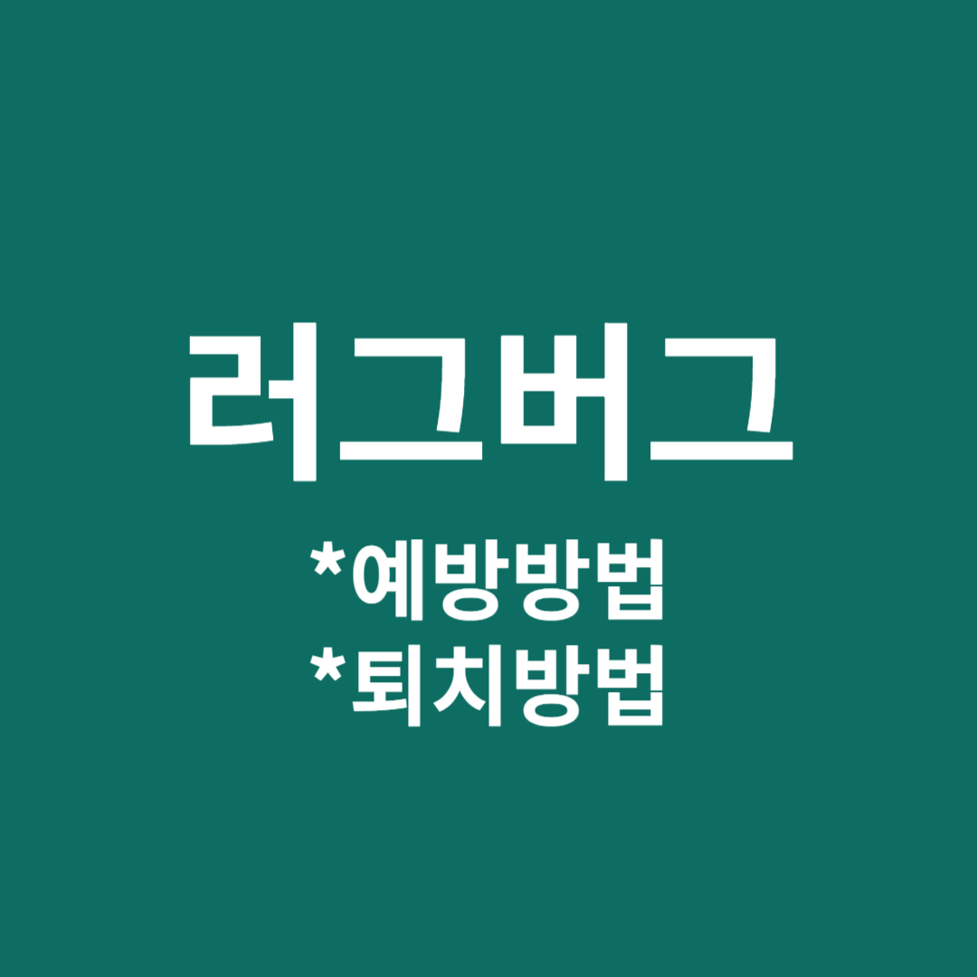 러그버그예방방법과 퇴치방법