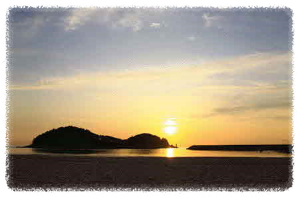 천리포 해수욕장